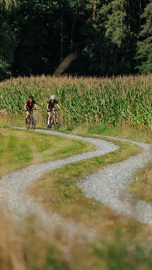 CUBE fietsen van fietsenwinkel
